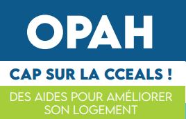 Logo OPAH