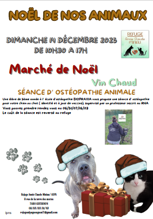 Noël des animaux